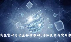 tp钱包密码忘记后如何找回？详细流程与实用技巧