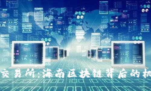 ascii
揭秘中币交易所：海南区块链背后的机遇与挑战