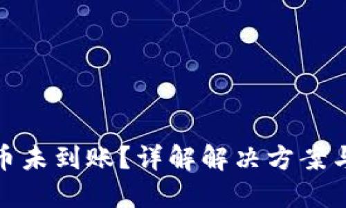 TP钱包提币未到账？详解解决方案与预防措施