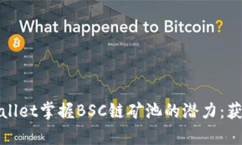 如何利用tpWallet掌握BSC链矿池的潜力：获利技巧与策略
