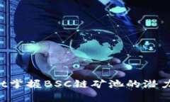如何利用tpWallet掌握BSC链矿池的潜力：获利技巧与