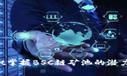 如何利用tpWallet掌握BSC链矿池的潜力：获利技巧与策略