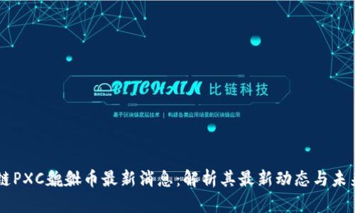 区块链PXC貔貅币最新消息：解析其最新动态与未来潜力