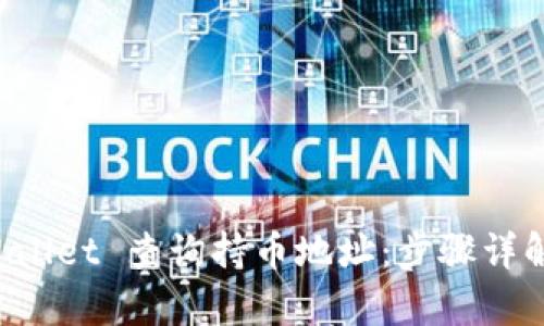 如何在 tpWallet 查询持币地址：步骤详解与技巧分享