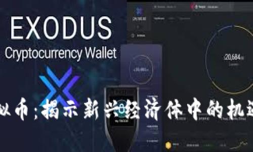 影子虚拟币：揭示新兴经济体中的机遇与挑战