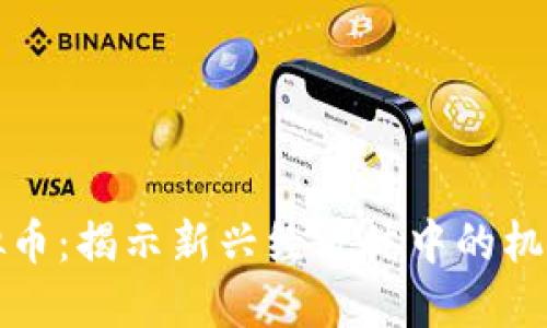 影子虚拟币：揭示新兴经济体中的机遇与挑战