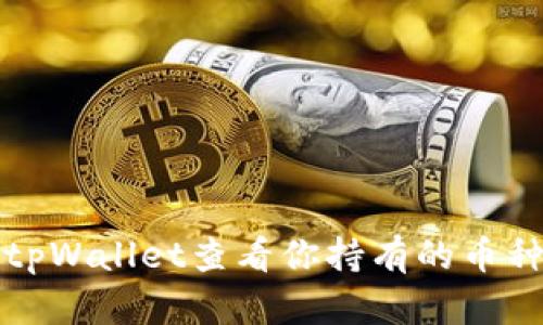 如何通过tpWallet查看你持有的币种及其余额