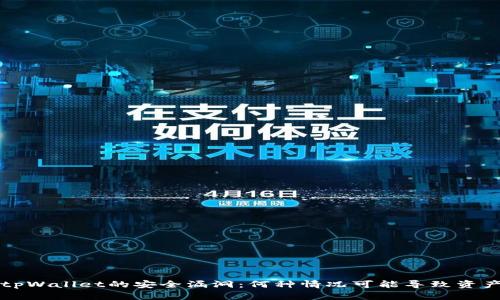 解析tpWallet的安全漏洞：何种情况可能导致资产被盗