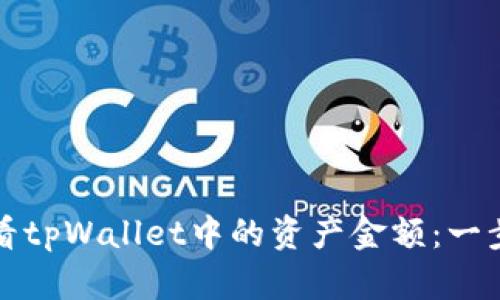如何查看tpWallet中的资产金额：一步步指导