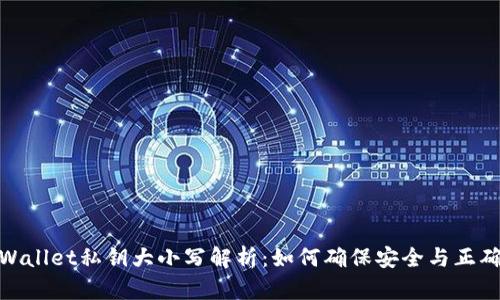 tpWallet私钥大小写解析：如何确保安全与正确性