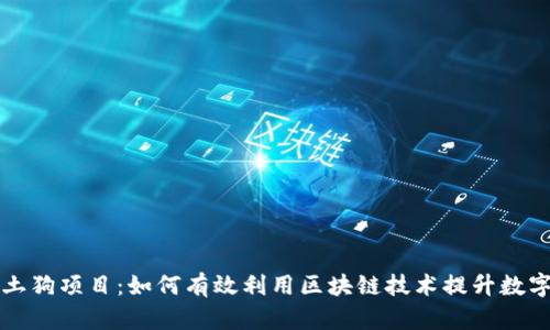 tpWallet土狗项目：如何有效利用区块链技术提升数字资产管理