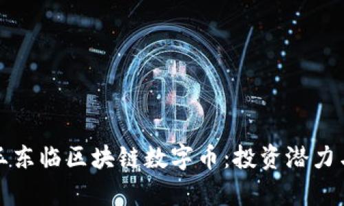 深入探讨王东临区块链数字币：投资潜力与市场前景