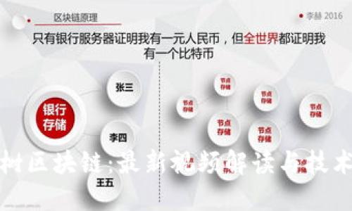 探索八宝树区块链：最新视频解读与技术成果分享