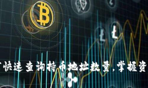 tpWallet如何快速查询持币地址数量，掌握资产管理新技能