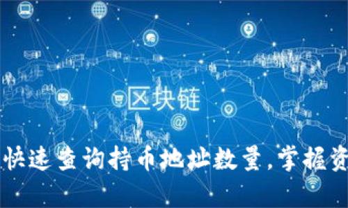 tpWallet如何快速查询持币地址数量，掌握资产管理新技能