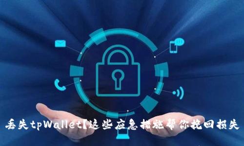 丢失tpWallet？这些应急措施帮你挽回损失