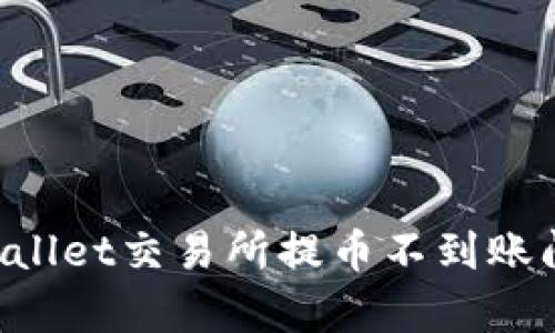 如何解决tpWallet交易所提币不到账问题：全面指南