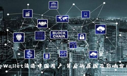 tpWallet清退中国用户：背后的原因及影响分析