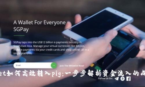 tpWallet如何高效转入pig：一步步解析资金流入的成功经验