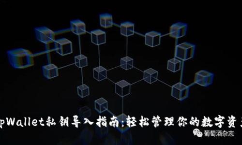 tpWallet私钥导入指南：轻松管理你的数字资产