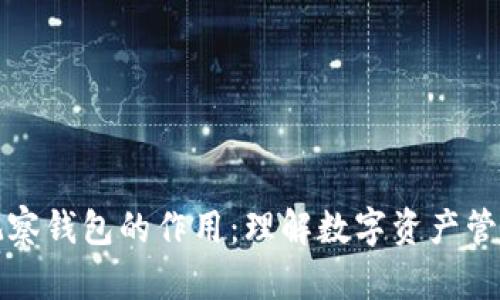 tpWallet观察钱包的作用：理解数字资产管理的重要性