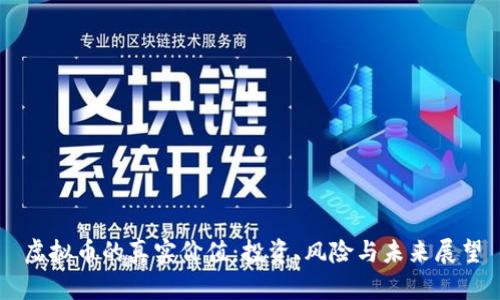 虚拟币的真实价值：投资、风险与未来展望