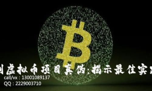 如何辨别虚拟币项目真伪：揭示最佳实践与技巧