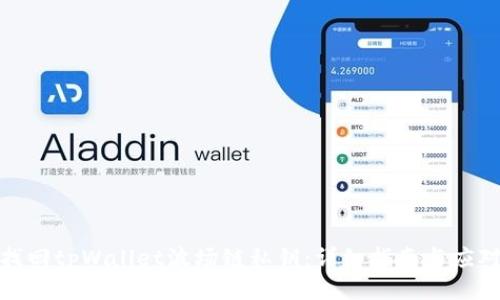 如何找回tpWallet波场链私钥：详细指南与应对策略