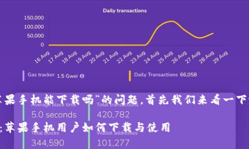 关于“tpWallet苹果手机能下载吗”的问题，首先我们来看一下tpWallet是什么。

### tpWallet：苹果手机用户如何下载与使用