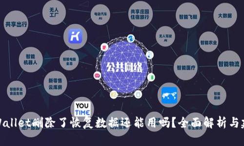 tpWallet删除了恢复数据还能用吗？全面解析与建议