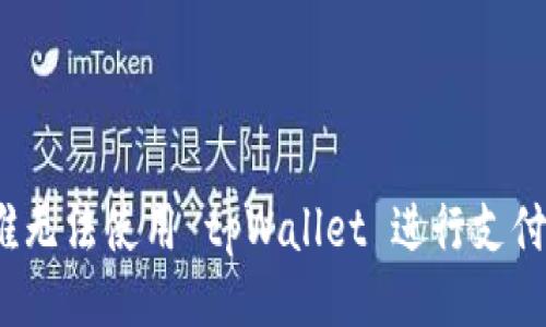 谁无法使用 tpWallet 进行支付？