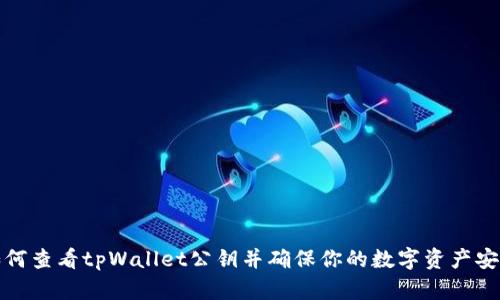 如何查看tpWallet公钥并确保你的数字资产安全