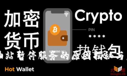 tpWallet加油站暂停服务的原因揭秘与后续影响分析