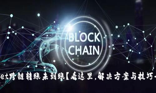 tpWallet跨链转账未到账？看这里，解决方案与技巧全揭秘！