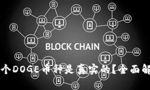 tpWallet中哪个DOGE币种是真实的？全面解析与辨别方法