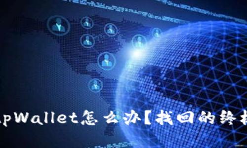 丢失tpWallet怎么办？找回的终极指南