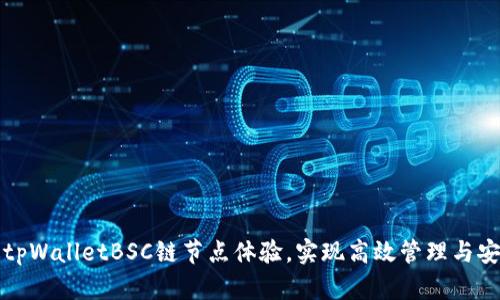 如何通过tpWalletBSC链节点体验，实现高效管理与安全性提升