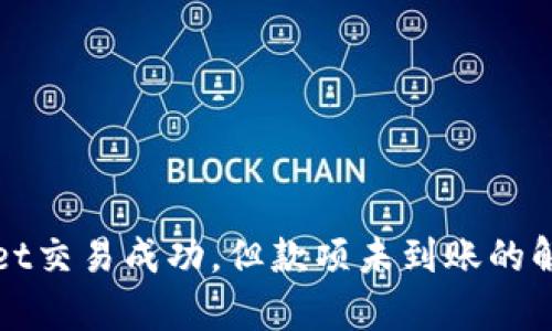 tpWallet交易成功，但款项未到账的解决方案