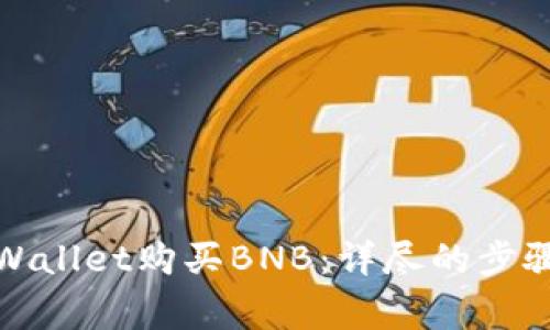 如何通过tpWallet购买BNB：详尽的步骤与注意事项