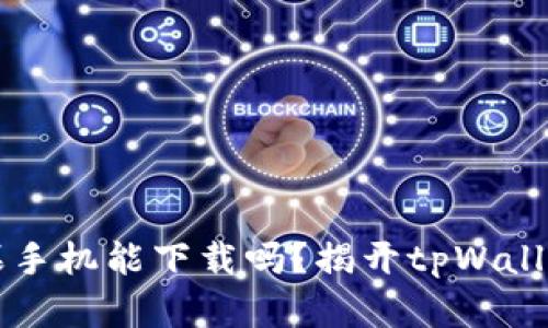 ### tpWallet苹果手机能下载吗？揭开tpWallet的下载和使用之谜