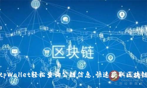 如何使用tpWallet轻松查询公链信息，快速获取区块链实时数据