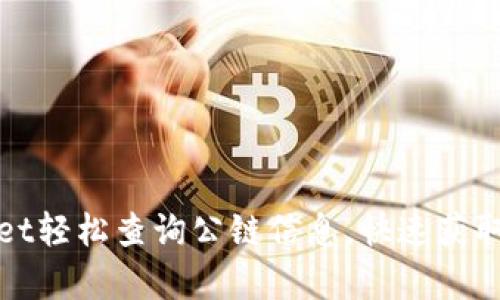 如何使用tpWallet轻松查询公链信息，快速获取区块链实时数据