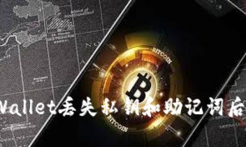 如何在tpWallet丢失私钥和助记词后恢复资产？