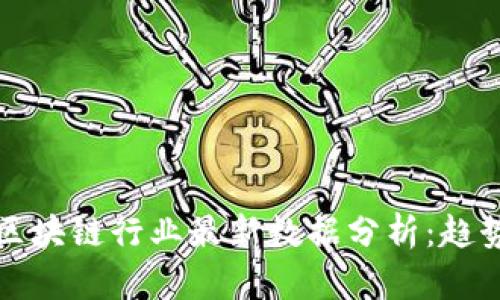 2023年美国区块链行业最新数据分析：趋势、挑战与机遇