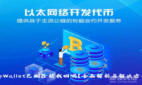 tpWallet已删除能找回吗？全面解析与解决方案