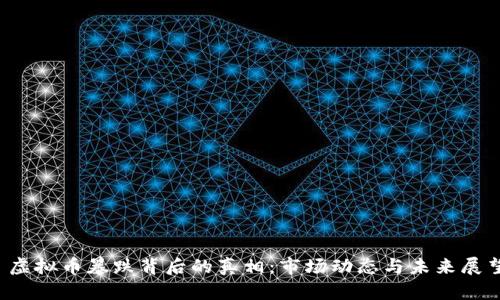  虚拟币暴跌背后的真相：市场动态与未来展望