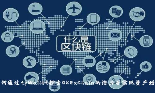 如何通过tpWallet探索OKExChain的潜力并实现资产增值
