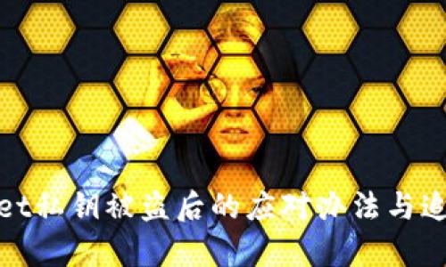 tpWallet私钥被盗后的应对办法与追回策略