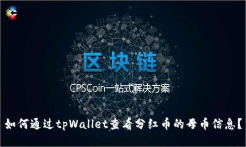 如何通过tpWallet查看分红币的母币信息？