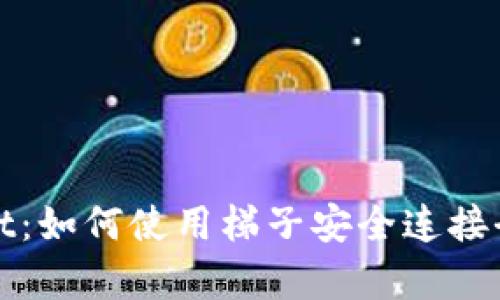 tpWallet：如何使用梯子安全连接全球资源